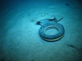Rubber tyre - possibly from aircraft